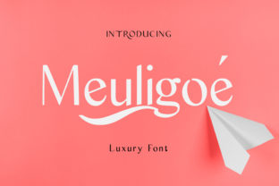 Discover Meuligoe: A Sweet and Cool Display Font for Every Creative Project