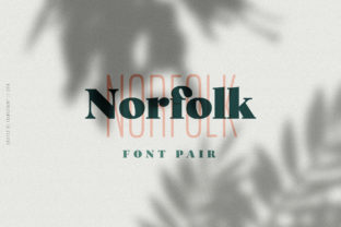 Norfolk Duo: A Strategic Font Choice for Modern Designers