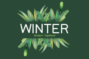 Winter: A Strategic Display Font for Modern Branding